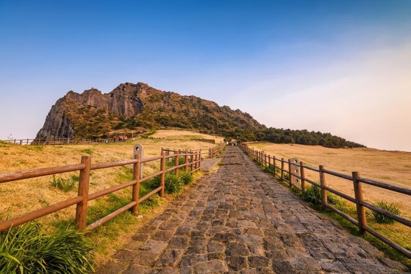 太金國際旅行社的旅遊行程介紹圖片