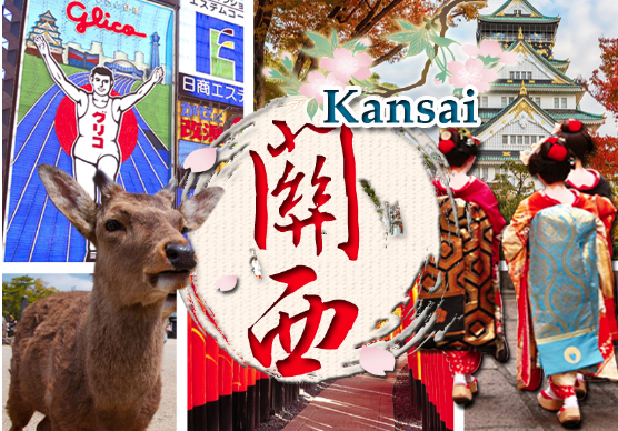 太金國際旅行社的旅遊行程介紹 太金國際旅行社的旅遊行程介紹圖片