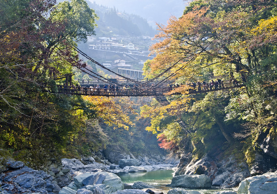 太金國際旅行社的旅遊行程介紹 太金國際旅行社的旅遊行程介紹圖片