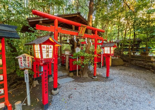 太金國際旅行社的旅遊行程介紹 太金國際旅行社的旅遊行程介紹圖片